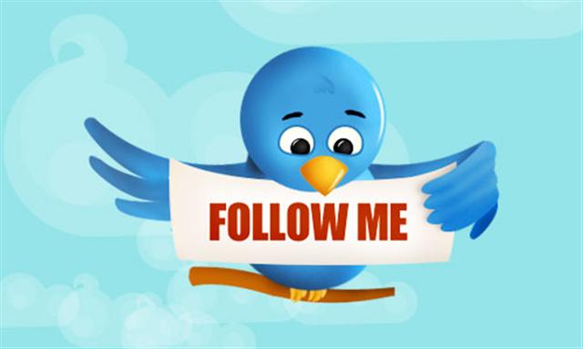 twitter bird follow graphic