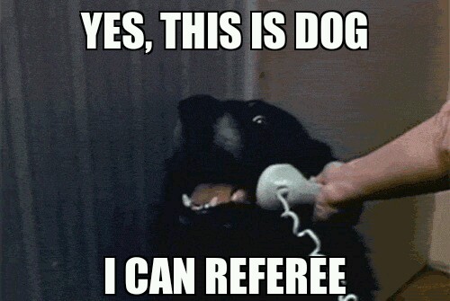 yes this is a dog meme