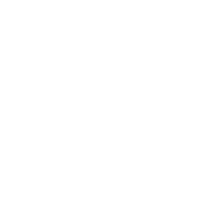 paid media campaign transparency icon