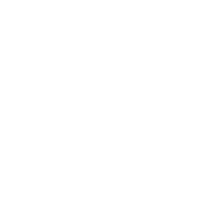 conversion optimisation icon