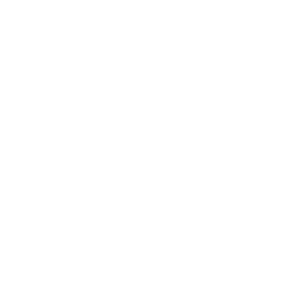 ecommerce with national positions icon