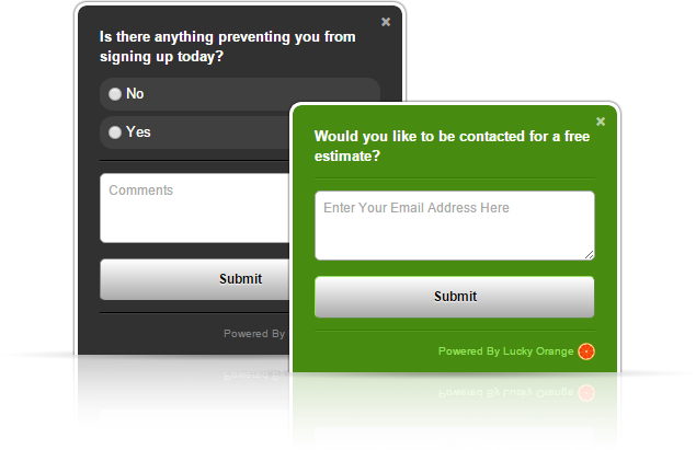 website customer polls