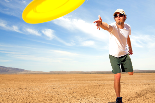 Frisbee golf pro