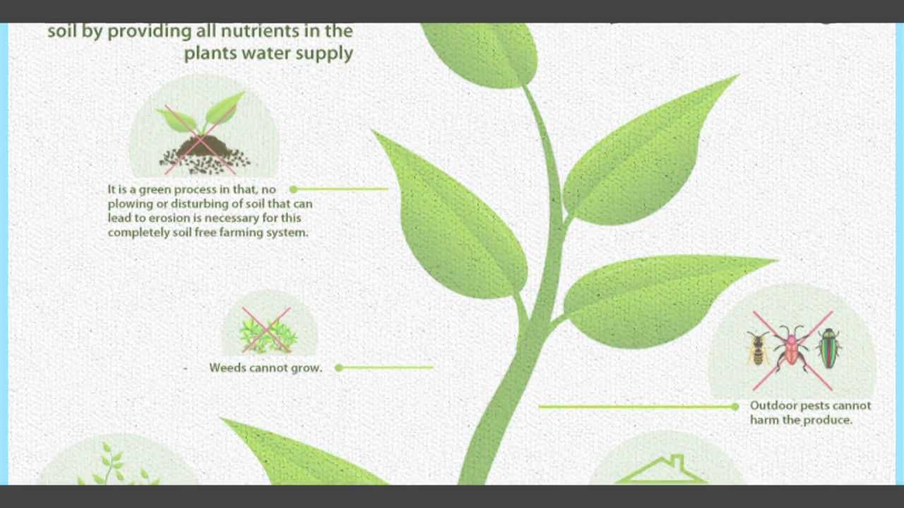 An infographic shows a green plant with smaller illustrations and explanations about soil nutrient management, including pest control, reduced need for soil tilling, and weed growth prevention.