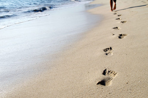 Footprints Of A Jogger On A Beach
