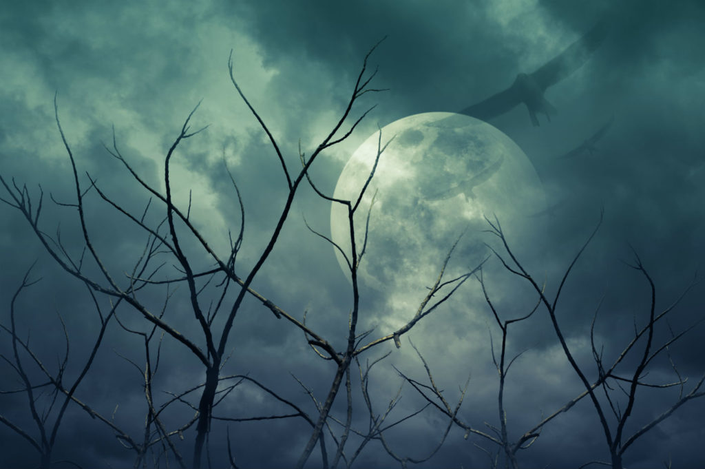 Social Media Halloween spooky background trees
