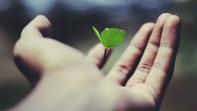 Plant hand