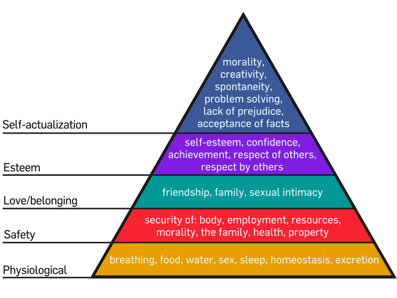 hierarchy of needs