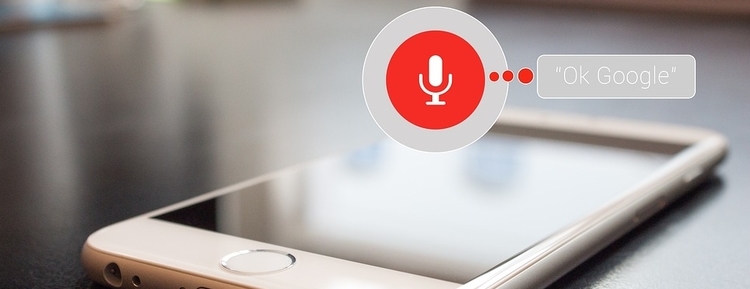 voice search