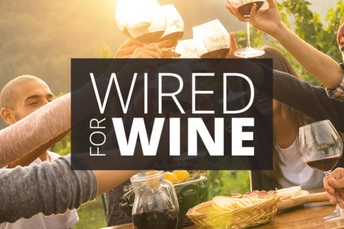 Wired For Wine case study banner