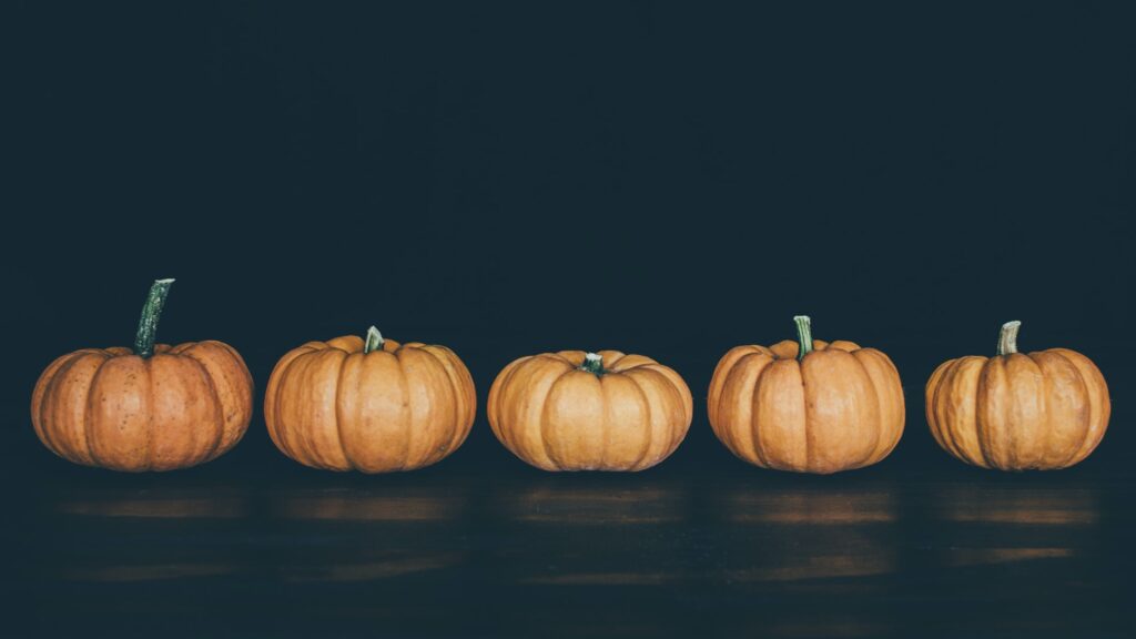 pumpkin blog banner